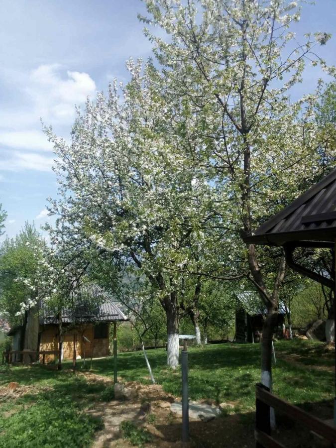Bungalows Old Town Visoko Eksteriør bilde
